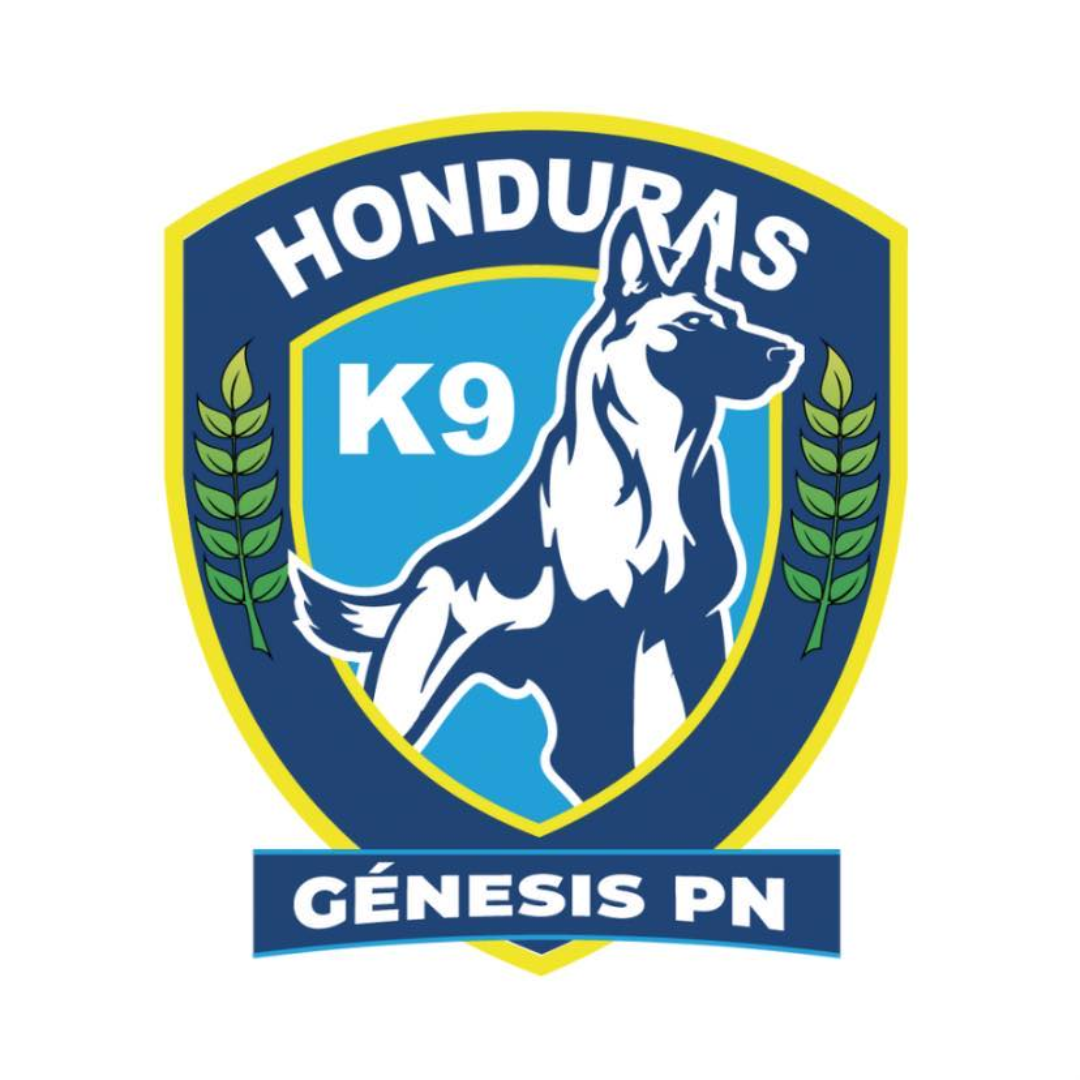 Genesis PN