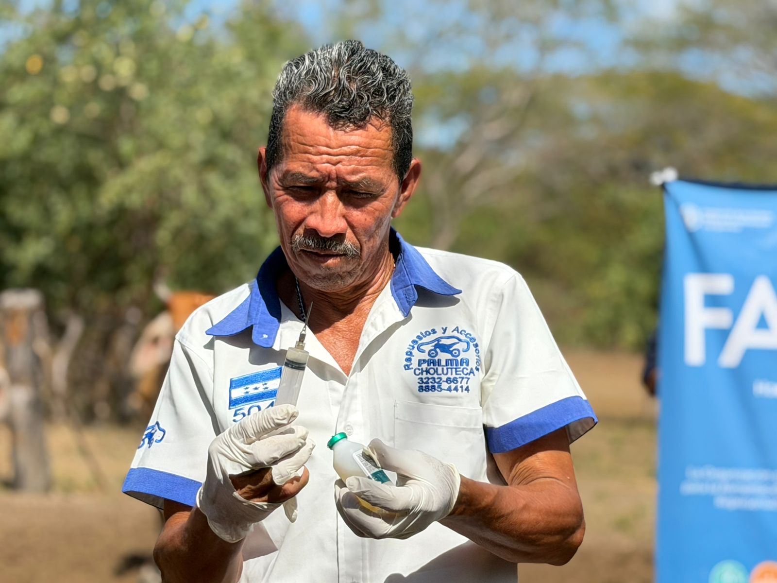 Avanza campaña de vacunación bovina en Choluteca y Valle - Imagen 3